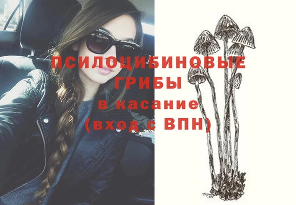 гашик Вязники